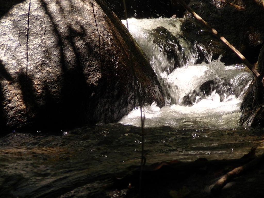 Ytororo O Som Das Aguas Araquari Buitenkant foto