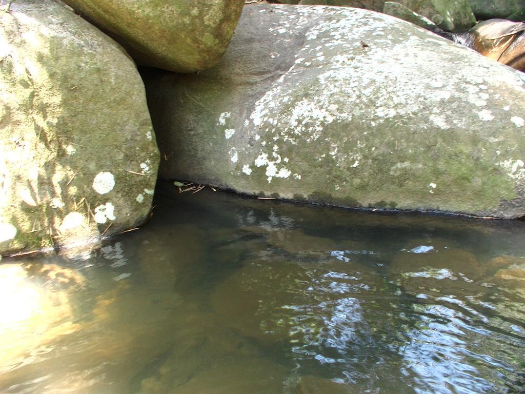 Ytororo O Som Das Aguas Araquari Buitenkant foto
