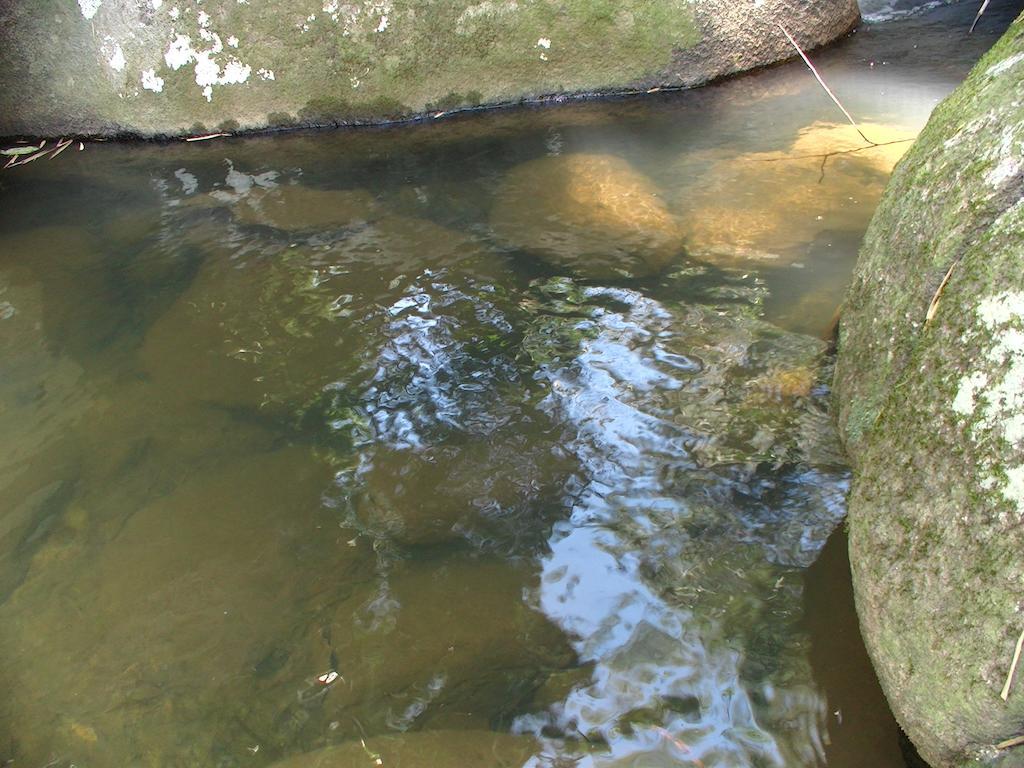 Ytororo O Som Das Aguas Araquari Buitenkant foto