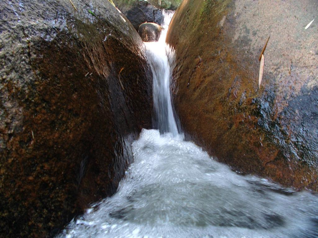 Ytororo O Som Das Aguas Araquari Buitenkant foto